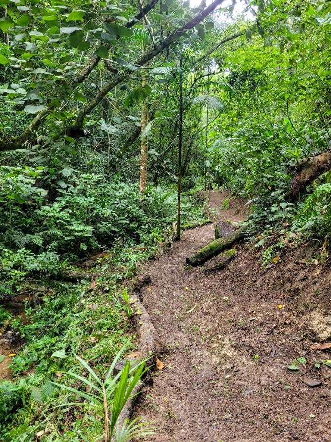 Pousada Sitio Do Vale Salesópolis Dış mekan fotoğraf